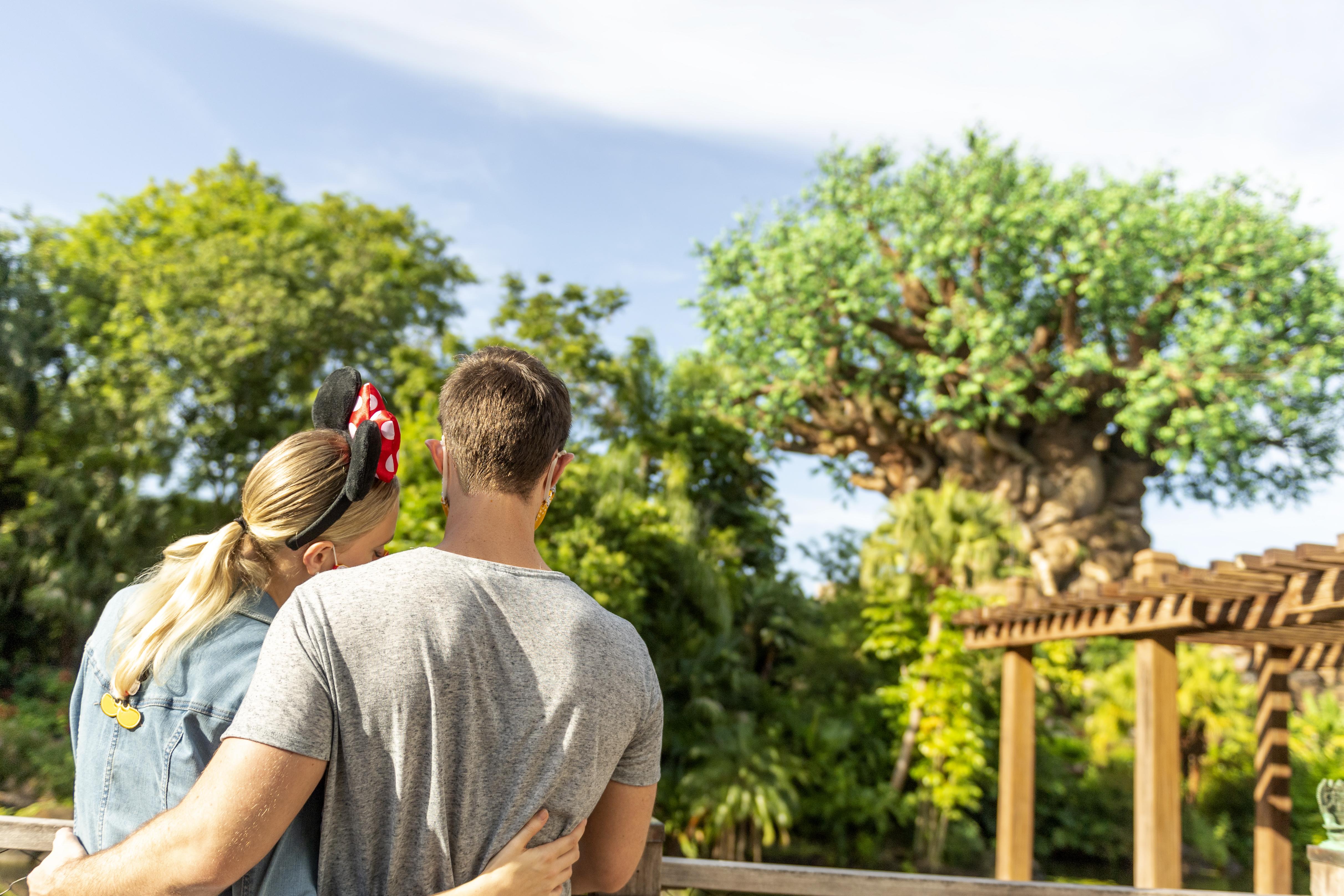 Disney'S All-Star Music Resort Лейк Буена Віста Екстер'єр фото